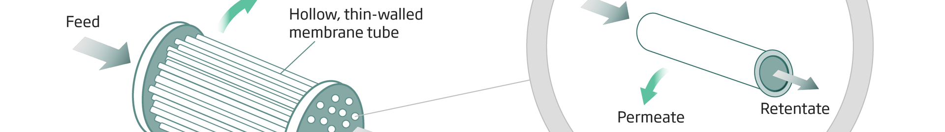 NIRAS Illustration Life Science Figur 2